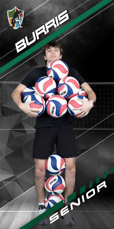 Ind-Volleyball-16 Volleyball senior banner